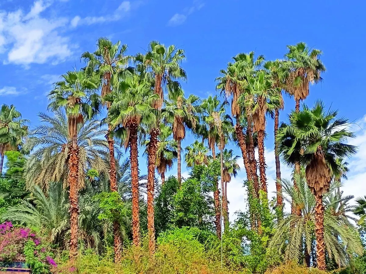 Superbe Apt Avec Vue Sur Les Jardins Majorelle, Face Au Musee Ysl, Rue Yves Saint Laurent Marrakesh Apartment