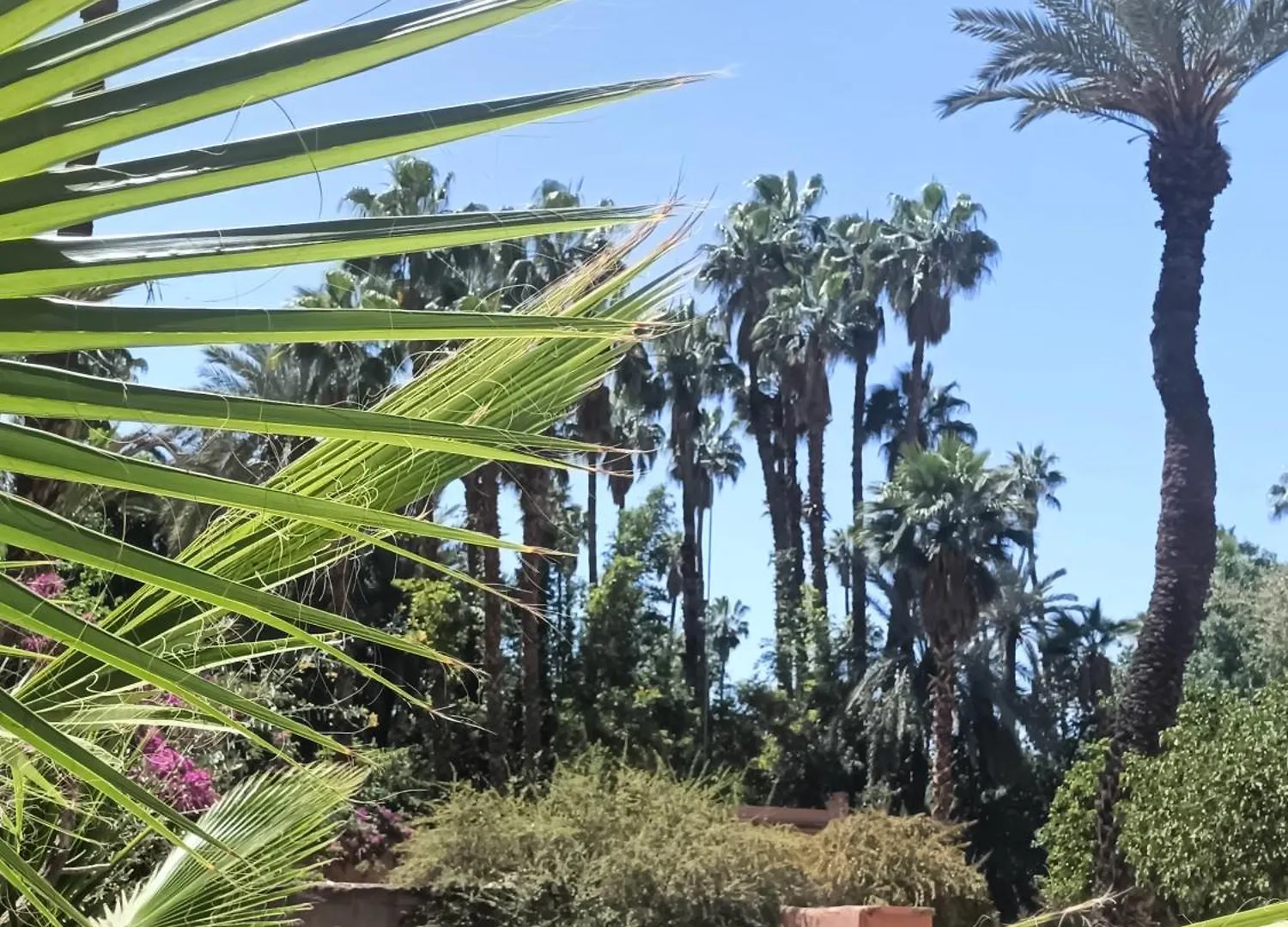 Superbe Apt Avec Vue Sur Les Jardins Majorelle, Face Au Musee Ysl, Rue Yves Saint Laurent Marrakesh