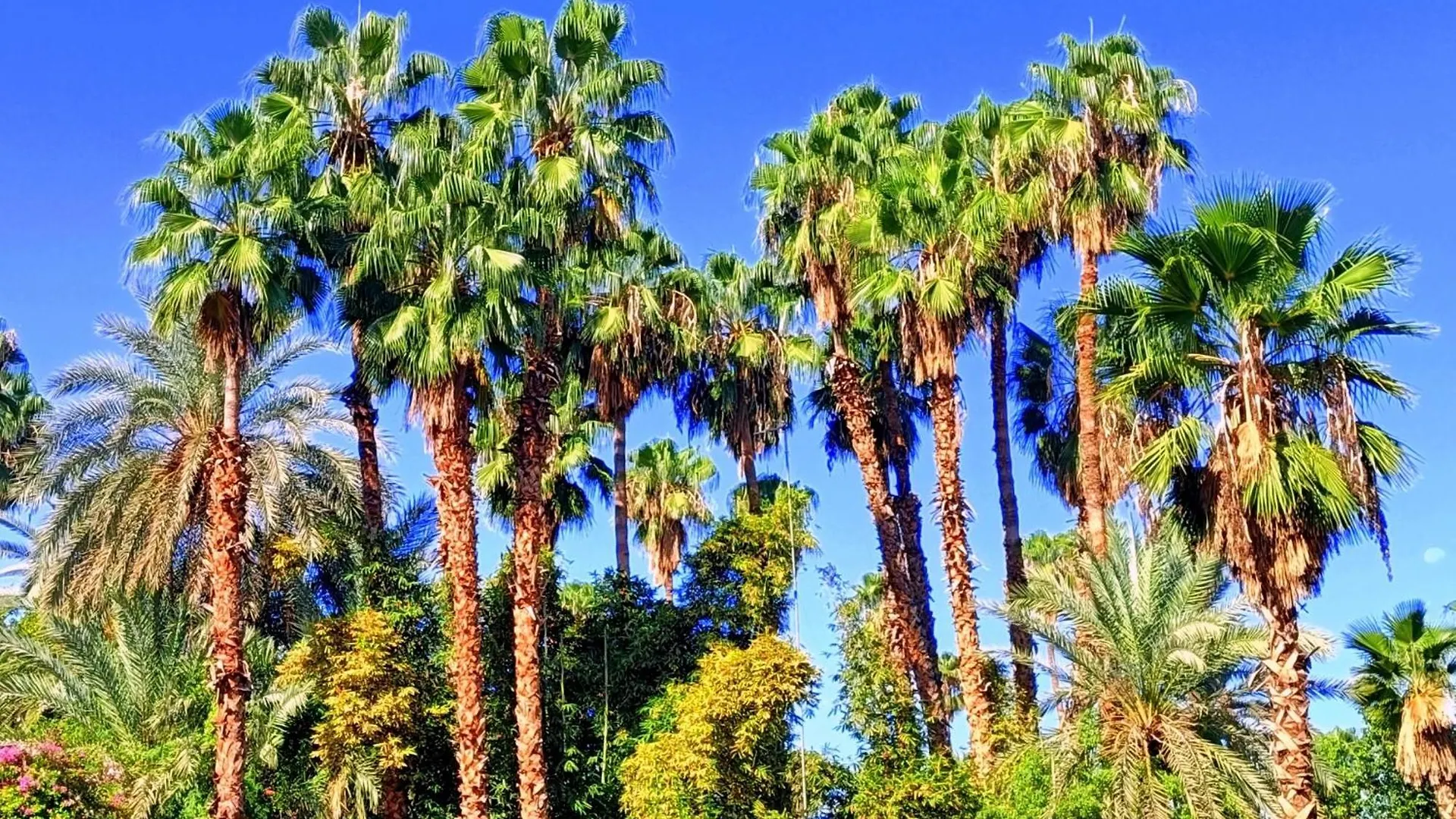 Superbe Apt Avec Vue Sur Les Jardins Majorelle, Face Au Musee Ysl, Rue Yves Saint Laurent Marrakesh
